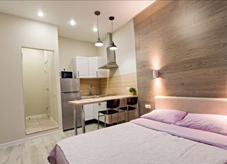 Продается квартира студия, 20 м2, Москва, Борисовский проезд, 44к2, метро Домодедовская