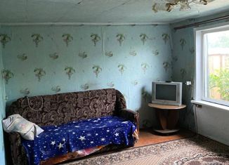 Продаю дом, 40 м2, село Большое Чаусово, улица Дружбы