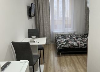Продажа квартиры студии, 25 м2, Москва, Ярославский район, Ярославское шоссе, 116