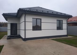 Продам дом, 87 м2, село Битягово, село Битягово, 58