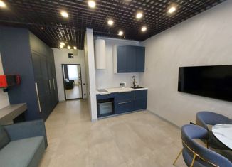 Сдаю в аренду квартиру студию, 26 м2, Москва, Берёзовая аллея, 19к1, Останкинский район