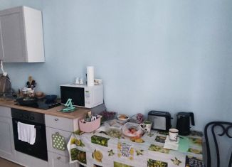 Продается 1-комнатная квартира, 39.1 м2, Санкт-Петербург, метро Елизаровская, улица Крыленко, 1к1с7