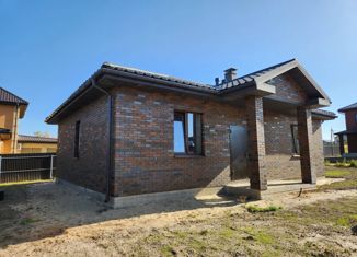 Продаю дом, 97 м2, деревня Шопино, Центральная улица