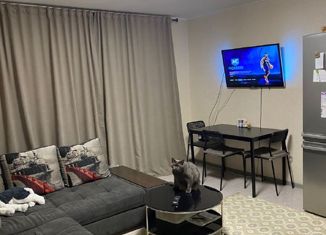 Двухкомнатная квартира на продажу, 50.5 м2, село Обуховское, Школьная улица, 2А