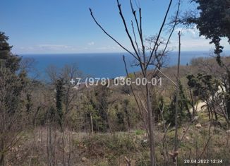 Продается земельный участок, 450 сот., посёлок городского типа Никита, посёлок городского типа Никита, 7