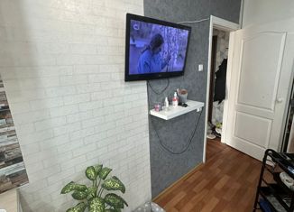 Однокомнатная квартира на продажу, 30 м2, село Ракитное, Школьный переулок, 2