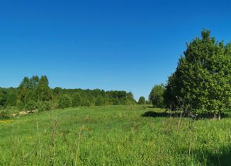 Продажа земельного участка, 15 сот., деревня Вышегород