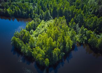 Продается участок, 15 сот., деревня Проккойла