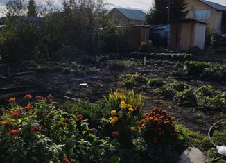 Продажа дома, 40 м2, СНТ Садовое