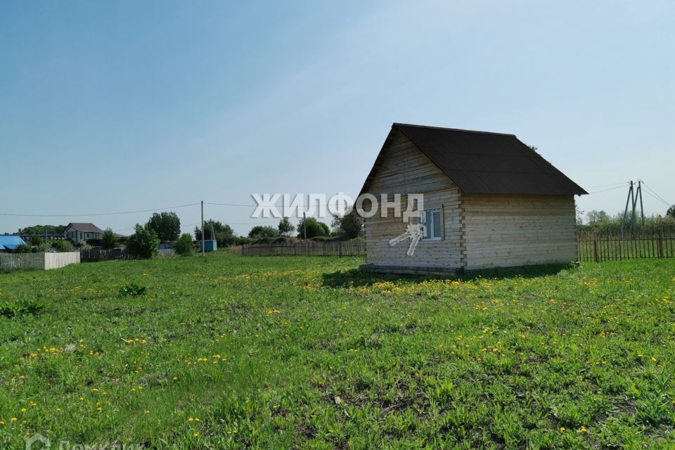 Купить Дачу В Криводановке Новосибирской Области Недорого