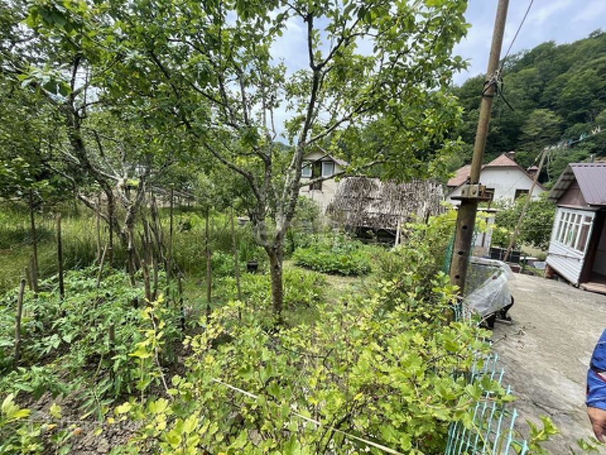 Хостинский район село прогресс. Сочи мацеста село прогресс. Сочи село прогресс юбилейная 10а. Село прогресс сочи. Село прогресс.