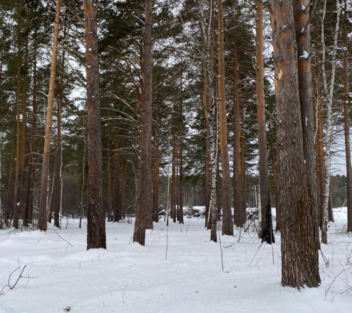 Село горный щит. Сосновая 62 горный щит.