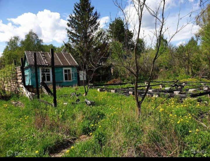 Купить Дачу В Чите Снт Эдельвейс