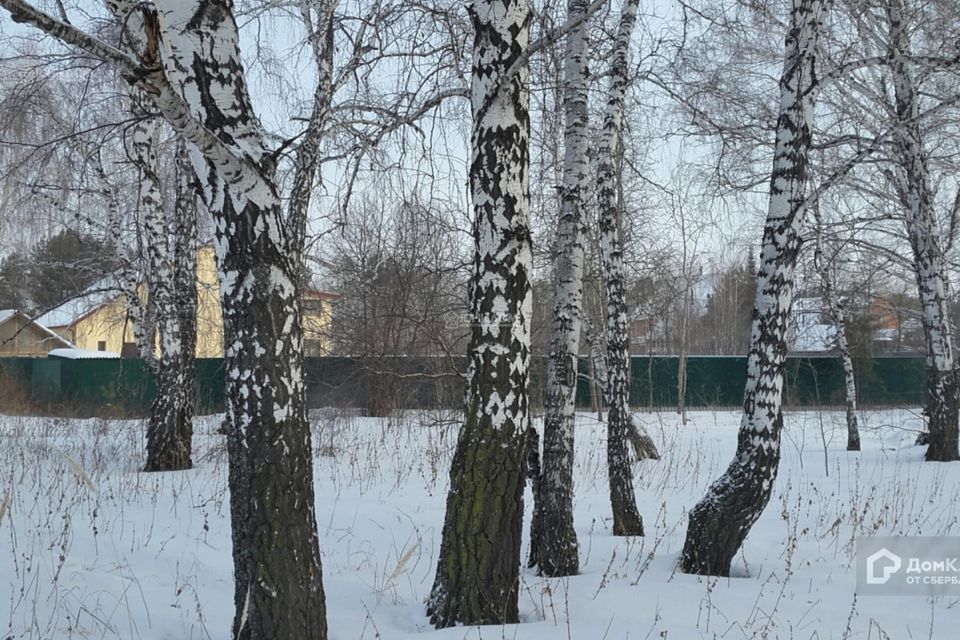 Решетникова деревня тюмень. Д решетниково тюмень. Решетникова деревня тюмень. Решетниково тюмень. Решетникова деревня тюмень.