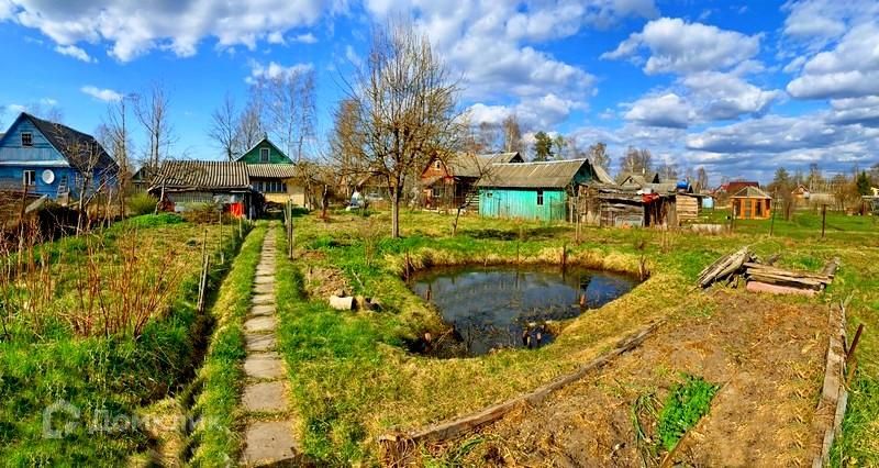 Красный Бор Фото Ленинградская Область