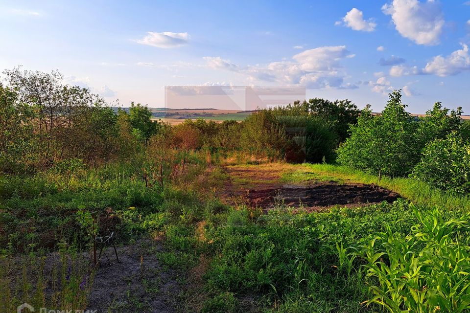 Участок николаевка. Николаевка (Неклиновский район). Село Николаевка Ростовская область.