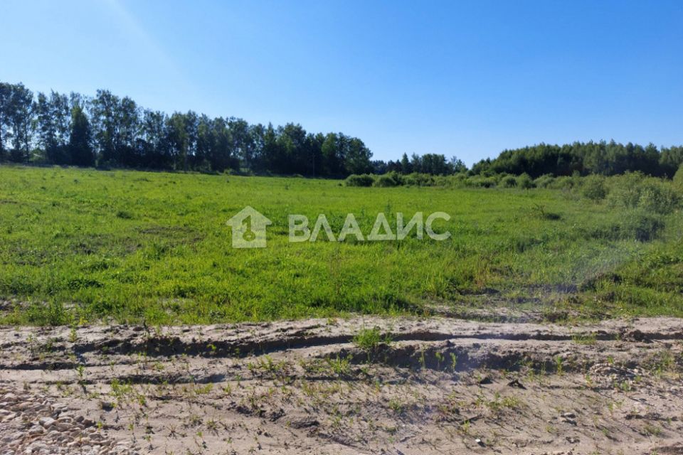 добрая земля судогодский. судогодский район река сойма. деревня суховка владимирская область. дачный поселок зеленая миля гороженово. экопоселение судогодский район.