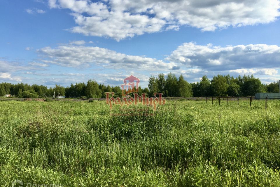 Участок в Александровке Смоленск.