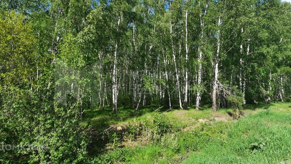 Купить Участок В Тюменской Области Недорого