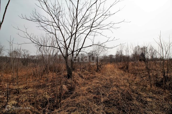 Соловей Ключ Купить Дачу В Надеждинском