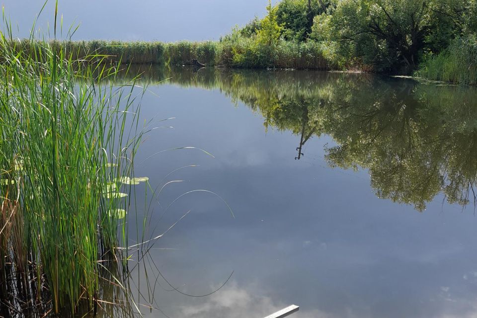 Купить Дом Рогачевка Новоусманский Район
