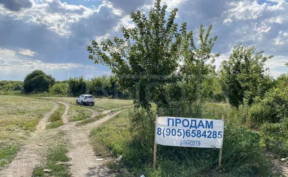 Погода новоживотинное на 3 дня. Новоживотинное фото села.