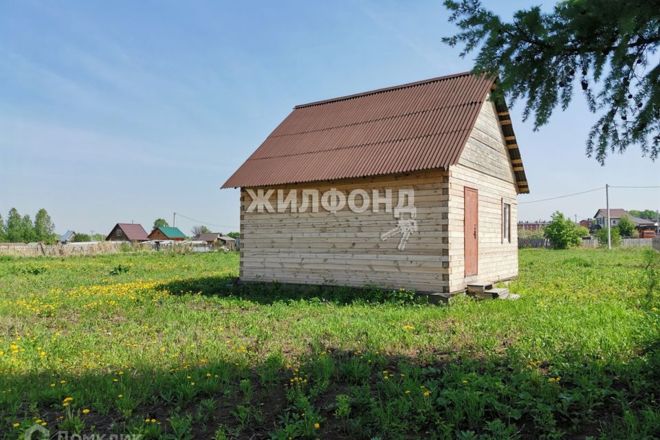 Купить Дачу В Криводановке Новосибирской Области Недорого