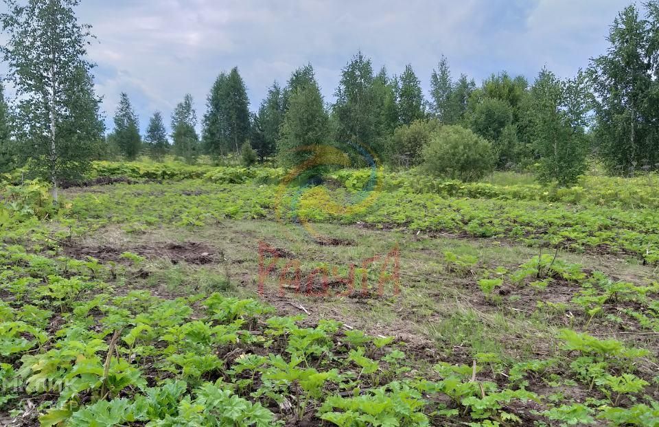 Земли В Ивановском Районе Купить