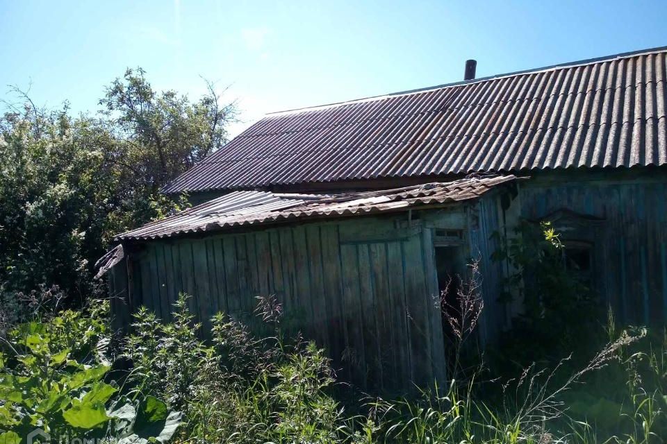 Елшанка саратовская область