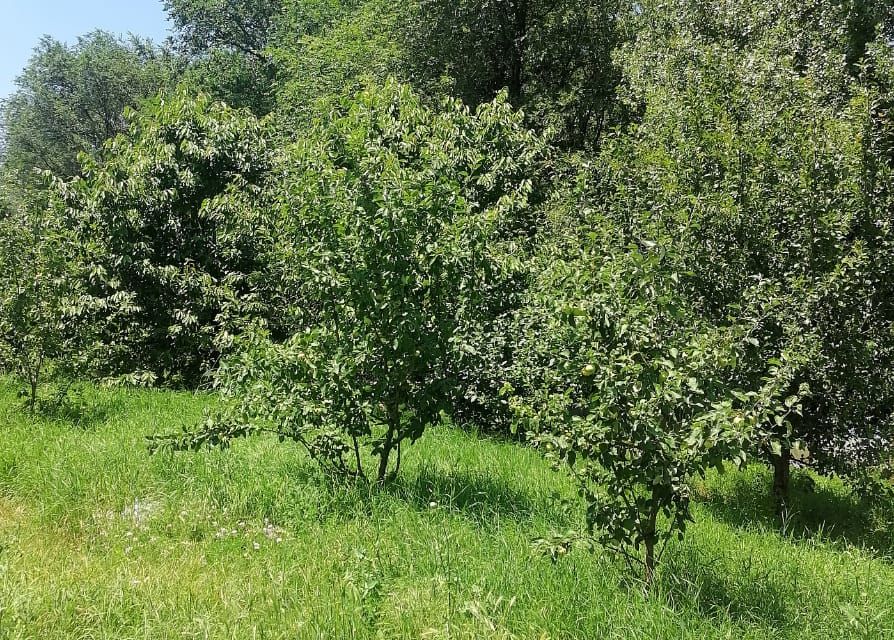 Купить Дом Село Успенское Краснодарский Край