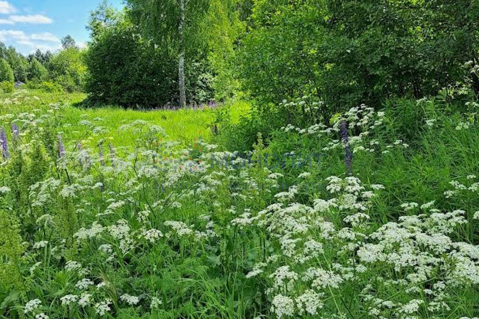 Купить Участок В Серебряном Бору Нижегородской Области