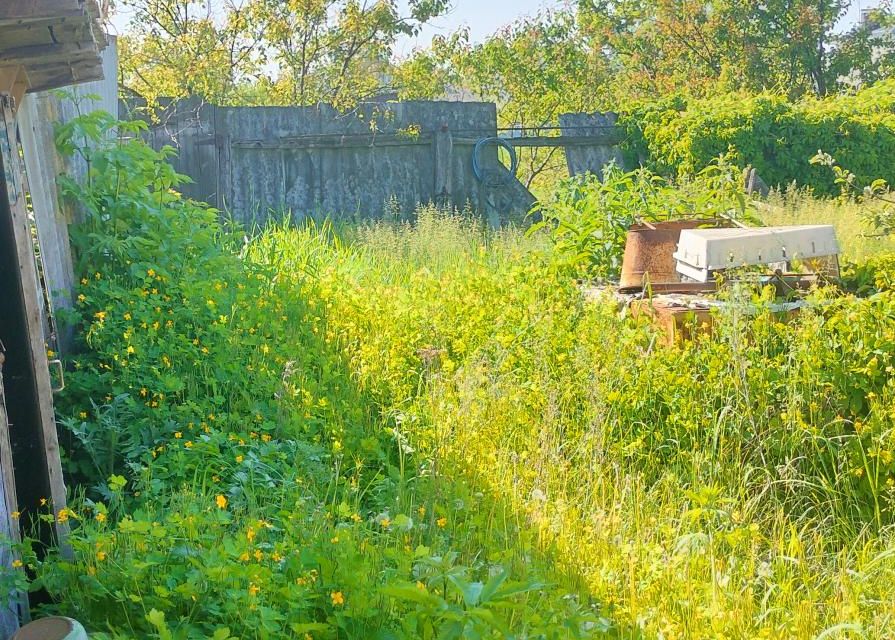 Купить Участок Новая Усмань Пчелка