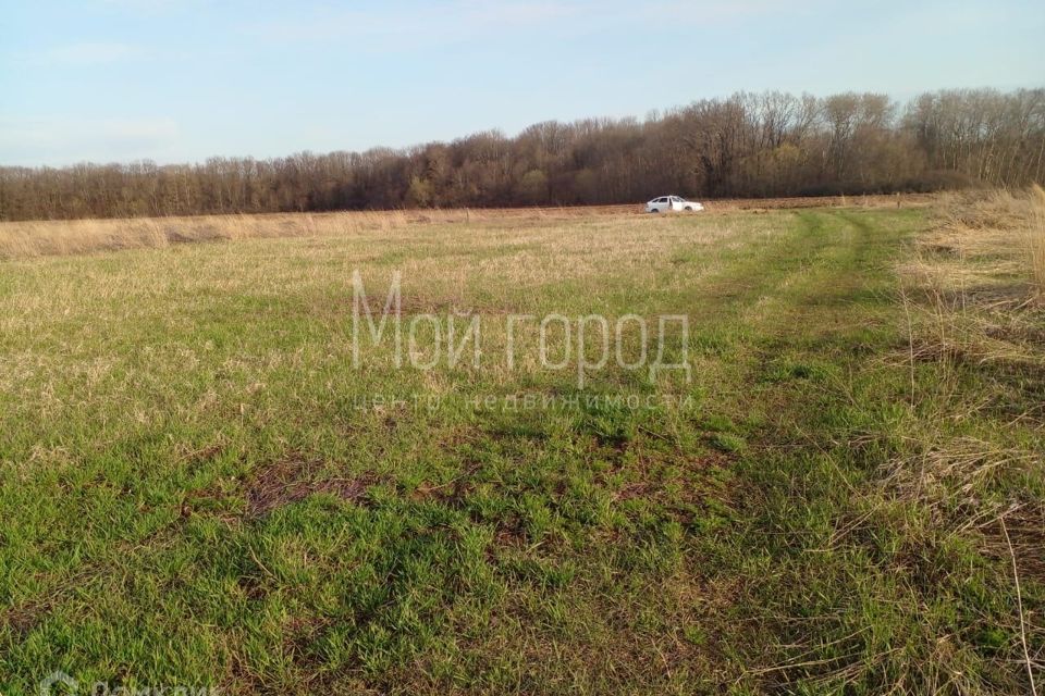 Купить Участок В Курске В Центральном