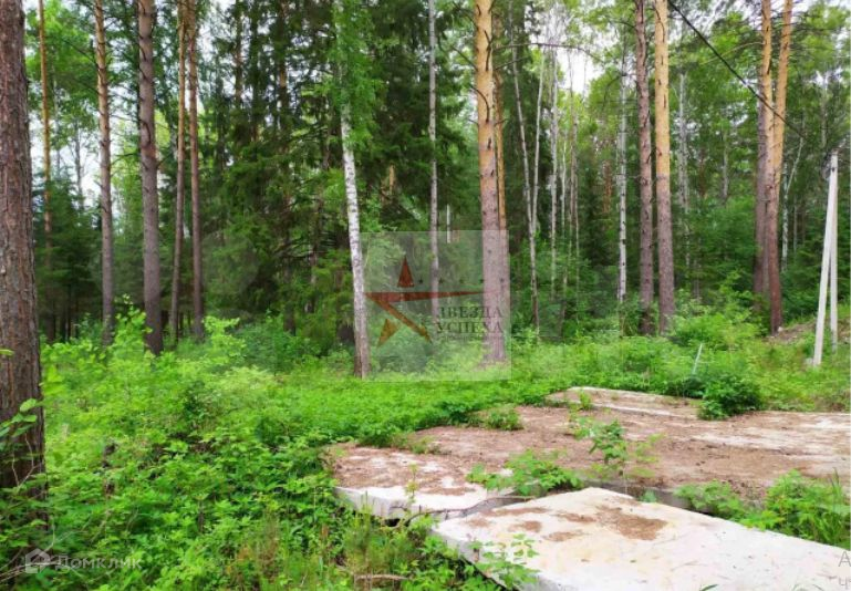 Земельный тюмень. Участок земли с лесом. Земля Лесной участок. Участок в Лесном массиве. Участок в лесу Тюмень.