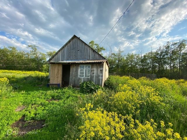 Десятилетие деревня. Десятилетие челябинская область деревня. Село травники. Десятилетие деревня. Десятилетие чебаркульский район.