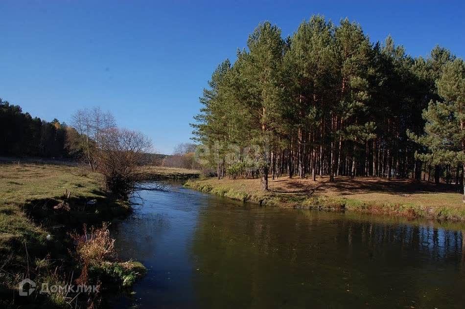 Село яр свердловская область. Река Пышма город Заречный Свердловская область. Биоценоз на реке Пышма. Фото река Пышма со стороны Заречного. Река Пышма улица Ленинградская 20 город Заречный Свердловская область.