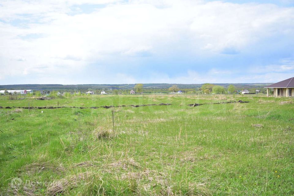 Купить Участок В Медовке Воронежской Области