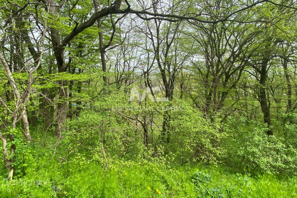 Горячий Ключ Краснодарский Край Купить