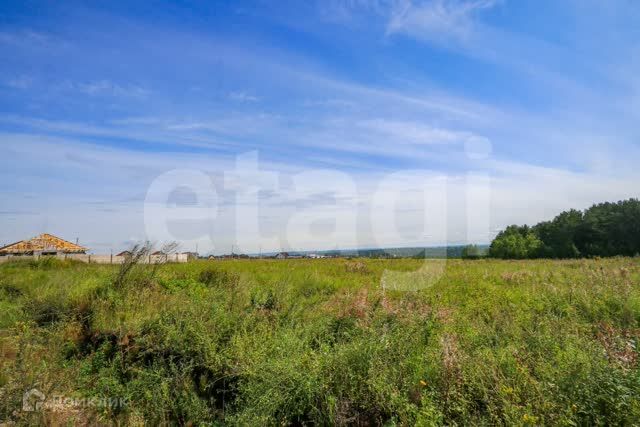 Днт багульник чита. Километр. Калининградская область гурьевский район поселок новодорожный ул. 54 километр марий эл. Окружной поселок.