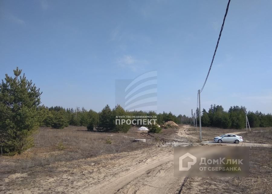 Староживотинное воронежская область фото. Староживотинное достопримечательности воронеж. Село староживотинное. Староживотинное воронеж. Староживотинное воронеж.