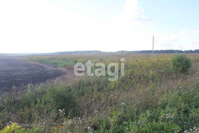 Крутая гора в чистополе. Село лада ичалковского района мордовии. Панорама чистополя с крутой горы. Деревня крутая гора. Село лада ичалковского района мордовии.