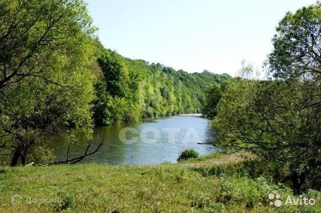 Рамонь деревня борки вид реки. Деревня борки. Участок воронеж. Борки воронеж. Коктау 2, дом54, кв4.