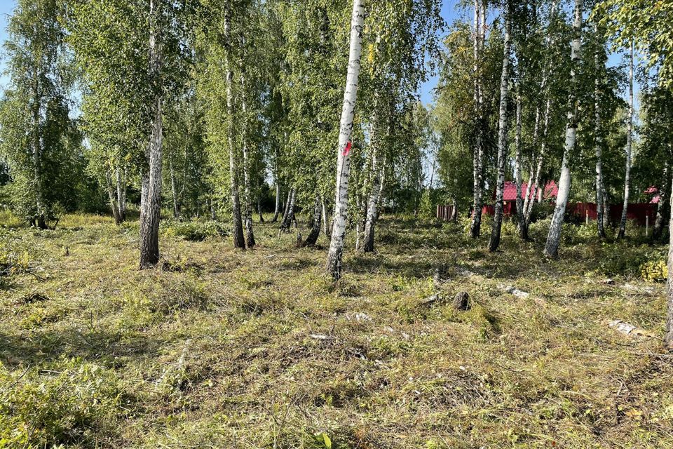 Купить Сад В Снт Курчатовец Челябинск