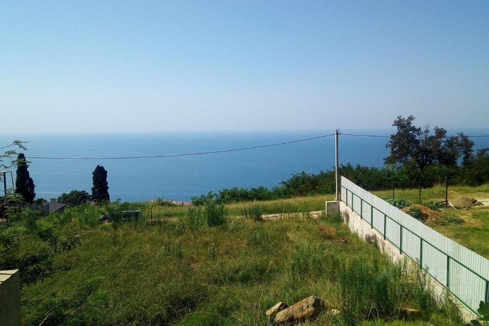 сочи навагинская цветы пальмы. сочи парк навагинская. имеретинский курорт олимпийский парк. сочи вид на улицу донскую. поселок 73 километр сочи.