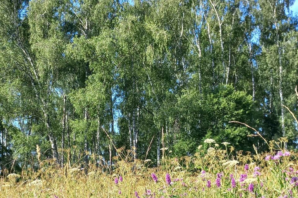 Венюково заокский. Деревня Венюково Тульской области. Деревня Венюково. Дубрава удач.