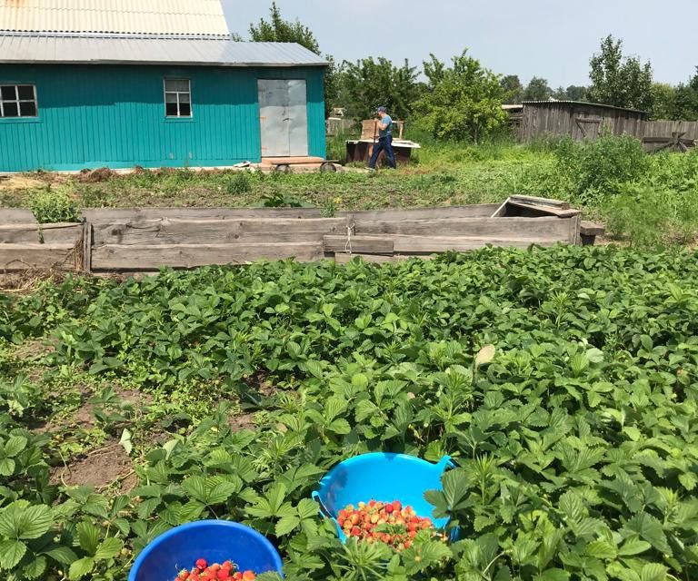 Дом село раздольное. Продажа домов в корфово тамбовского амурской обл.
