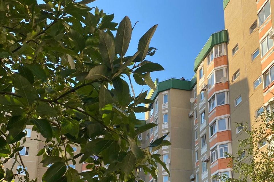 новое сертолово. климат сертолово. сертолово-2 тихвинская улица 10к2. рп5 сертолово ленинградская. рп5 сертолово ленинградская.