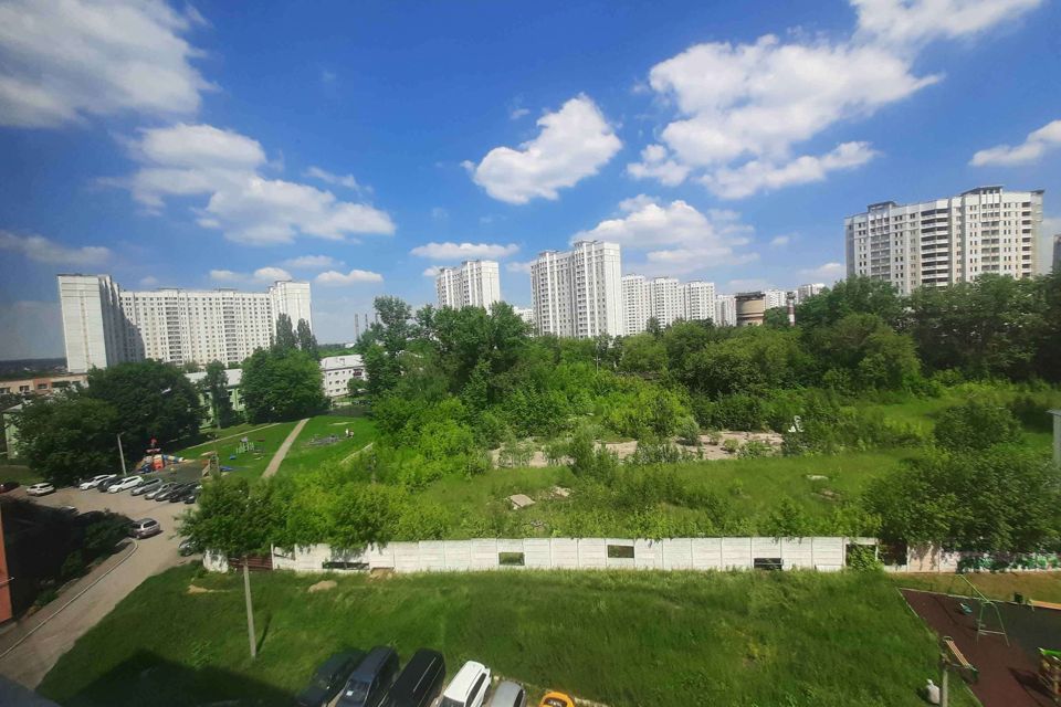 кузнечики 6. кузнечик волкер. насекомые кузнечик саранчи. парковый проезд кузнечики. насекомые израиля.