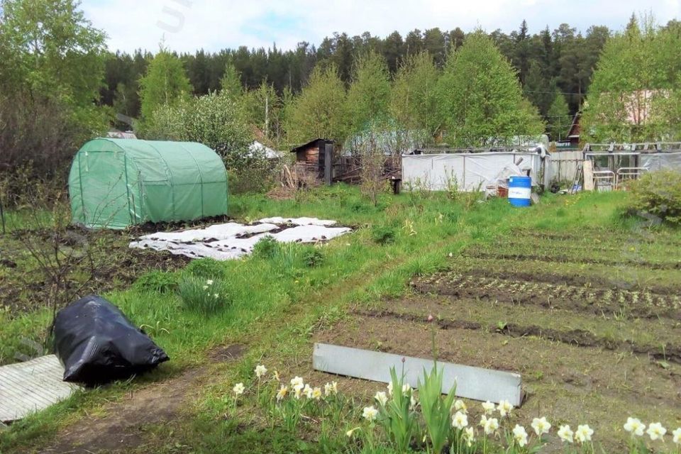 Снт красноярский край. СНТ победа. Продам дачу в Красноярске победа
