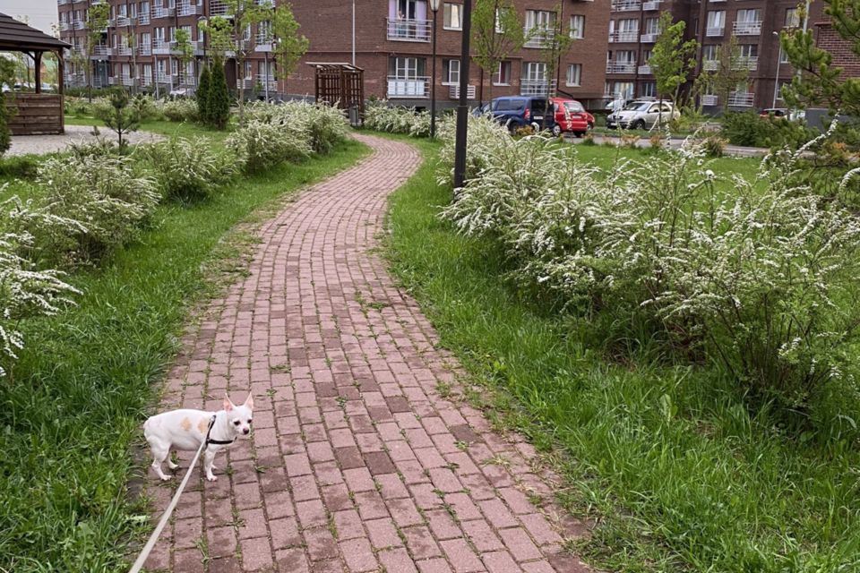 Дер сабурово. Деревня Сабурово Зеленоград. Деревня Сабурово Смоленская область. Деревня Сабурово Архангельской области. Владимирская область деревня сакурово.